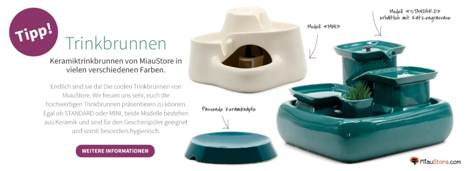 Miaustore Keramik-Trinkbrunnen und Katzenbrunnen mit Zubehör für frisches Wasser