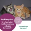ARTGERECHT. Tasting pack - 16 articles - KITTEN