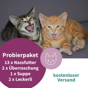 ARTGERECHT. Probierpaket - 16 Artikel - KITTEN
