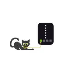 CatControl cat direction finder - content for 2 cats