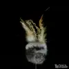 LIONSLIKE action duster - rabbit fur fluff - water grass & ostrich feathers