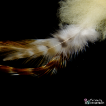 LIONSLIKE Remorque de pêche pour canne à pêche en action "Flex" - peau de mouton avec plumes de coq