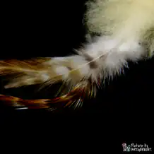 LIONSLIKE Remorque de pêche pour canne à pêche en action "Flex" - peau de mouton avec plumes de coq