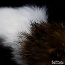 Etichetta da pesca LIONSLIKE per canna da pesca d'azione "Flex" - Wabbelwurm - con pelliccia di coniglio
