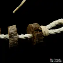 LIONSLIKE Pendant - Liana