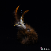 LIONSLIKE Jouets pour chats - Boules - Fourrure de lapin avec plumes de coq