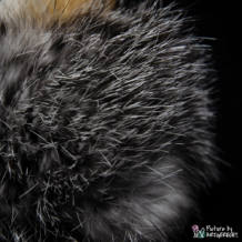 LIONSLIKE Jouets pour chats - Boules - Fourrure de lapin avec plumes de coq