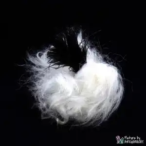 LIONSLIKE Jouets pour chats - Boules - Peau de mouton avec plumes d'autruche