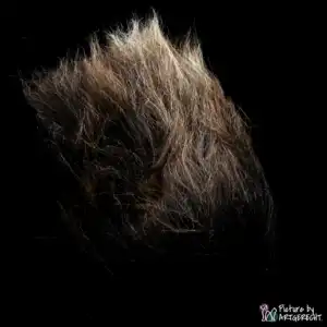 lionslike jouet pour chat coussin hochet en peau de mouton
