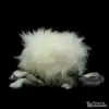 LIONSLIKE Jouets pour chats - Liesel