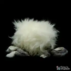 LIONSLIKE Jouets pour chats - Liesel