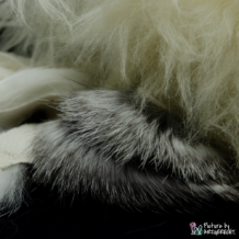 LIONSLIKE Jouets pour chats - Liesel