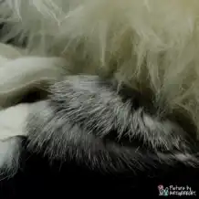 LIONSLIKE Jouets pour chats - Liesel