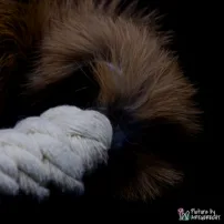 Gioco per gatti LIONSLIKE - rotolo di macramè