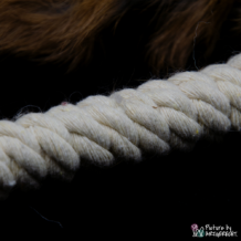 LIONSLIKE Jouets pour chats - Rouleau de macramé