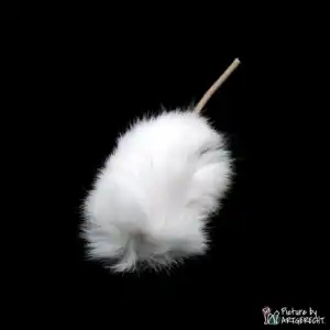 LIONSLIKE cat toy - mini roll mice - rabbit