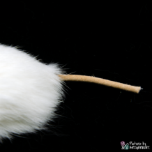 LIONSLIKE Jouets pour chats - Mini-rouleaux Souris - Lapin
