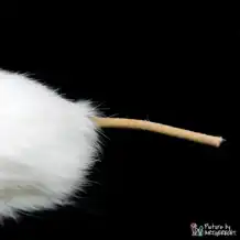 LIONSLIKE cat toy - mini roll mice - rabbit