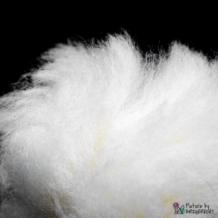 LIONSLIKE Jouets pour chats - Souffleuse