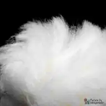 LIONSLIKE Jouets pour chats - Souffleuse