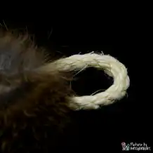 LIONSLIKE Pendant - Wedel - S