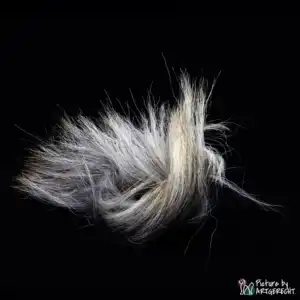 LIONSLIKE cat toy - goat ring
