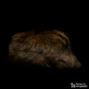 LIONSLIKE Katzenspielzeug - Rasselkissen aus Kaninchenfell