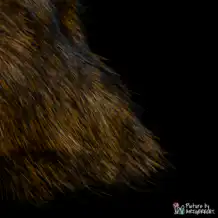 LIONSLIKE Katzenspielzeug - Rasselkissen aus Kaninchenfell