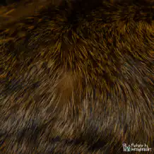 LIONSLIKE Katzenspielzeug - Rasselkissen aus Kaninchenfell