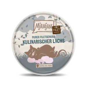 MjAMjAM FILET - Saumon culinaire - 80 g