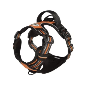 CAMON Brustgeschirr - S - Orange/Schwarz
