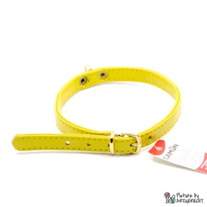 CAMON collier - largeur 1 cm - longueur 36 cm - jaune