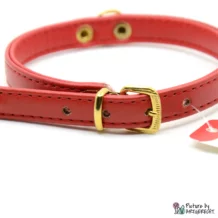 CAMON Necklace - Width 1 cm - Length 36 cm - Red