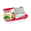 Erba di gatto CAMON