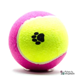 CAMON tennis ball - XL - DM 15 cm