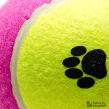 CAMON tennis ball - L - DM 10 cm