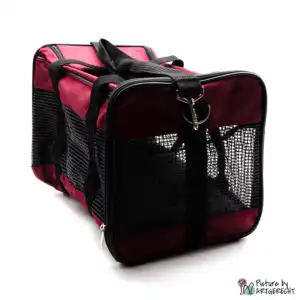 Borsa da trasporto CAMON per piccoli animali - S