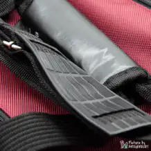 Borsa da trasporto CAMON per piccoli animali - S