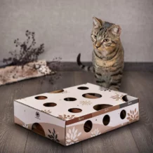 CanadianCat MAGICBOX Intelligenzspielzeug