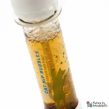 dogMA Cat Nip Bubbles