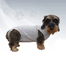 CURA PETS Body mit hypoallergenem Innengewebe - 30 cm