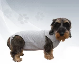 CURA PETS Body avec tissu intérieur hypoallergénique - 30 cm