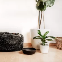 DISTRICT 70 BAMBOO - dog bowl - S - DM 14 cm - 570 ml - Dark Grey