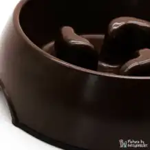 DogMA Ciotola ad alimentazione lenta - 1000 ml - Marrone