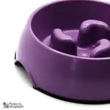 DogMA Ciotola ad alimentazione lenta - 1000 ml - Viola