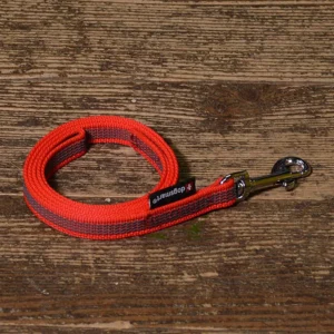 dogsmart Leine - gummiert - 20mm x 2m - Rot - mit Handschlaufe