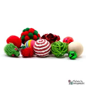 Xmas Geschenkbox Variante 1 - 10-teilig