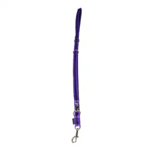 Grossenbacher Laisse pour chien - 2x160 cm - Violet