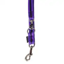 Grossenbacher Laisse pour chien - 2x160 cm - Violet