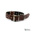 Collare STELLA - 3x55 cm - Marrone